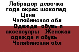 Лабрадор девочка1.5года окрас шоколад › Цена ­ 2 000 - Челябинская обл. Одежда, обувь и аксессуары » Женская одежда и обувь   . Челябинская обл.